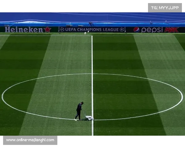 Heineken与UEFA合作定制数字平台，球迷照片变决赛现场彩带